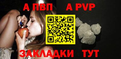 стаф Донской