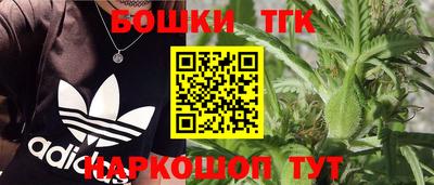 стаф Донской