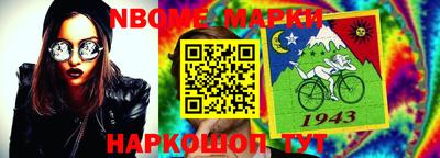 стаф Донской