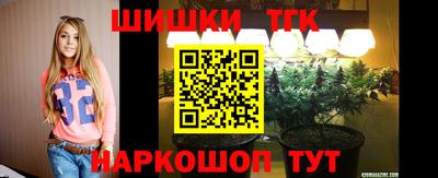 стаф Донской