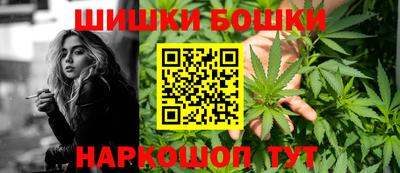 стаф Донской