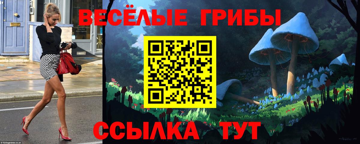 Псилоцибиновые грибы Psilocybe Ликино-Дулёво