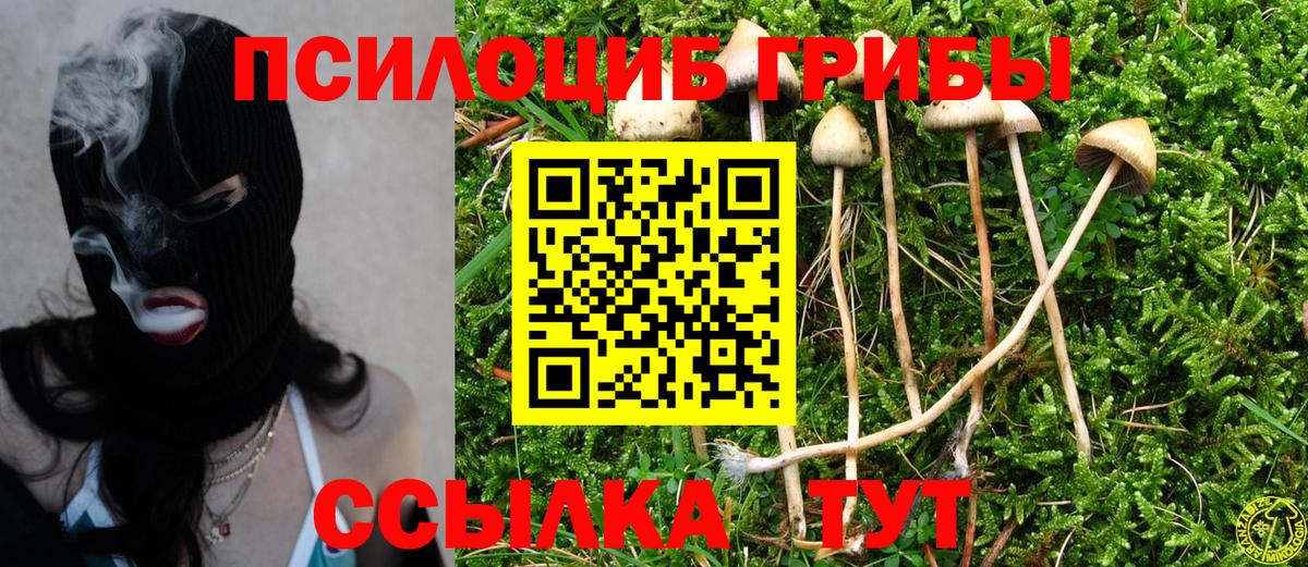 Ликино-Дулёво  Галлюциногенные грибы Psilocybe  Галлюциногенные грибы Cubensis  Вход с VPN 